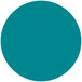 A teal circle with white background.