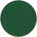 A green circle with white background.