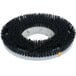 A circular object with black bristles.