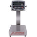 Cardinal Detecto EB-30-190 30 lb. Electronic Bench Scale with 190 Indicator and Tower Display, Legal for Trade Main Thumbnail 5