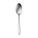 A Oneida Mascagni stainless steel teaspoon with a silver handle.