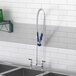 A Waterloo deck-mounted pre-rinse faucet and sink in a school kitchen.