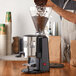 Estella Caffe ECEG26 Espresso Grinder - 120V Main Thumbnail 1