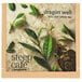 A square box of Steep Cafe by Bigelow Dragon Well Green Tea pyramid sachets.