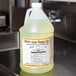 Noble Chemical 1 Gallon / 128 oz. Low Temp Dish Washing Machine Sanitizer - 4/Case Main Thumbnail 1