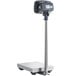 AvaWeigh BS330T 330 lb. Digital Receiving Bench Scale with Tower Display Main Thumbnail 4
