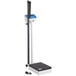 AvaWeigh MSB600 600 lb. Digital BMI Physicians Scale with Height Rod Main Thumbnail 3
