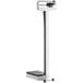 AvaWeigh MSB440 440 lb. / 200 kg. Eye-Level Mechanical Beam Physicians Scale with Height Rod Main Thumbnail 4