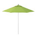 A California Umbrella with a green Sunbrella canopy on an aluminum pole.