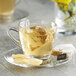 Pure Leaf Organic Ginger with Orange Blossom Herbal Pyramid Tea Sachets - 20/Box Main Thumbnail 1