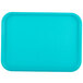 A teal rectangular plastic tray with a white border.