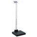 Cardinal Detecto APEX 600 lb. Eye-Level Digital Clinical Scale with ...