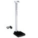Cardinal Detecto solo-AC 550 lb. Digital Scale with Mechanical In-Line Height Rod and AC Adapter Main Thumbnail 1