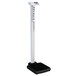 Cardinal Detecto solo 550 lb. Digital Scale with Mechanical In-Line Height Rod Main Thumbnail 1