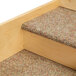 A close up of carpeted stairs on a wooden surface.