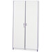 A white storage closet with purple trim.