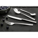 An Amefa stainless steel serving spoon on a table with blueberries.