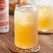 A glass of Wonder Drink Organic Ginger Peach Kombucha with ice on a white background.