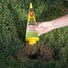 A hand holding a yellow Victor Pest Mole and Gopher Poison bottle over a hole in the grass.