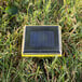 A Victor Pest solar panel in the grass.