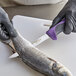 A person in gloves using a Dexter-Russell narrow boning knife with a purple handle to cut fish.
