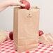 A person holding a red apple in a Duro brown paper bag.