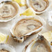 A group of Rappahannock Olde Salt oysters on a white surface with lemon wedges.