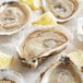 A group of Rappahannock Oysters on ice with lemon wedges.
