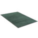 A close-up of a green Lavex entrance mat.