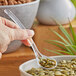 A hand holding a Vollrath clear plastic salad bar spoon full of seeds over a bowl.