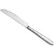 An Acopa Remy stainless steel dinner knife with a long silver handle on a white background.