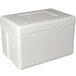 Lavex Industrial Insulated Foam Cooler 19 1/2" x 12 1/2" x 12 1/2" - 1 1/2" Thick Main Thumbnail 1