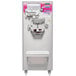 Coldelite Batch Freezer Ice Cream Outlet Door – Compatible With LB 202G, 302, 502, 1002 Models