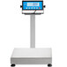 AvaWeigh BS150TK 150 lb. Receiving Scale with 14" x 12" Platform and 16" Stainless Steel Tower Main Thumbnail 4