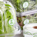 A roll of white labels with green text reading "Organic" next to plastic containers of green leaves.