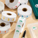 A collection of Noble 1-inch removable day of the week clock label rolls in various colors on a wooden surface.