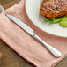 A stainless steel Acopa Benson steak knife on a plate with a piece of meat.