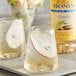 A glass of Monin Sugar Free Vanilla Flavoring Syrup in a glass of water with a slice of apple in it.