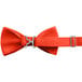 An orange poly-satin bow tie with an adjustable band and silver hardware.