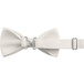 An ivory poly-satin bow tie with adjustable metal buckles.