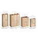 A group of brown Choice paper bags with handles and size and measurements.