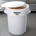 A white Rubbermaid BRUTE storage bin with a lid full of potatoes.