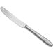 An Acopa Pangea stainless steel dinner knife with a silver handle.