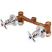 Two brass T&S water valves with four arm handles and a white background.