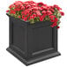 A black square planter with red flowers.