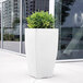 A white rectangular Mayne planter with a plant in it.
