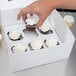 A hand placing a cupcake with white frosting into a white window cupcake box.