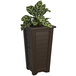 A green plant in a brown Mayne Lakeland planter.