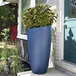 A plant in a large Mayne Modesto Neptune Blue planter.