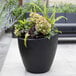 A Mayne Modesto black planter with potted green plants on an outdoor patio table.